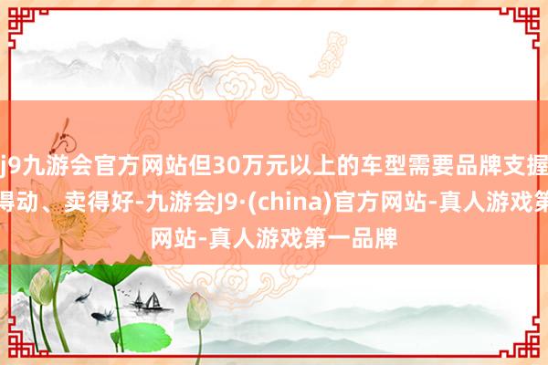 j9九游会官方网站但30万元以上的车型需要品牌支握本领卖得动、卖得好-九游会J9·(china)官方网站-真人游戏第一品牌