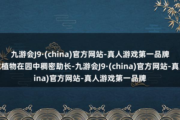 九游会J9·(china)官方网站-真人游戏第一品牌用心种植的各式植物在园中稠密助长-九游会J9·(china)官方网站-真人游戏第一品牌