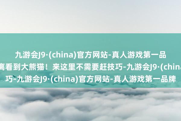 九游会J9·(china)官方网站-真人游戏第一品牌无谓花门票就能近距离看到大熊猫！来这里不需要赶技巧-九游会J9·(china)官方网站-真人游戏第一品牌