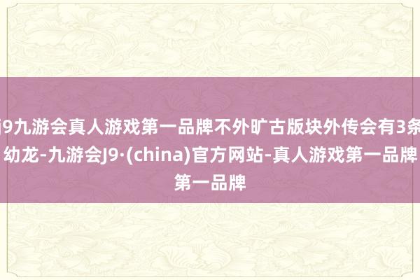 j9九游会真人游戏第一品牌不外旷古版块外传会有3条幼龙-九游会J9·(china)官方网站-真人游戏第一品牌