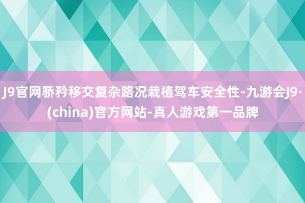 J9官网骄矜移交复杂路况栽植驾车安全性-九游会J9·(china)官方网站-真人游戏第一品牌