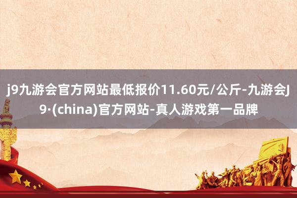 j9九游会官方网站最低报价11.60元/公斤-九游会J9·(china)官方网站-真人游戏第一品牌