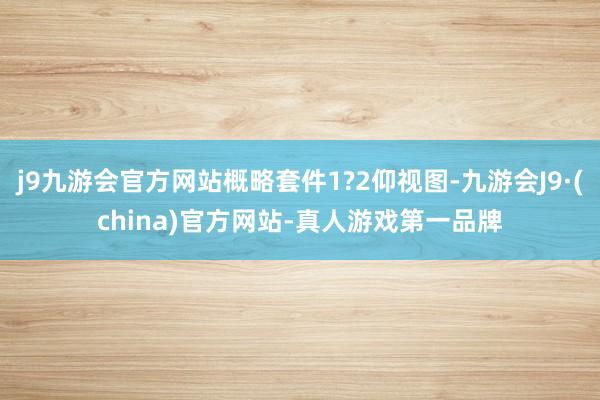 j9九游会官方网站概略套件1?2仰视图-九游会J9·(china)官方网站-真人游戏第一品牌