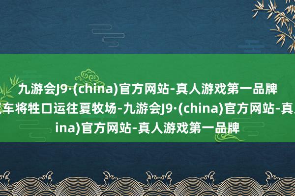 九游会J9·(china)官方网站-真人游戏第一品牌也便是用大型汽车将牲口运往夏牧场-九游会J9·(china)官方网站-真人游戏第一品牌