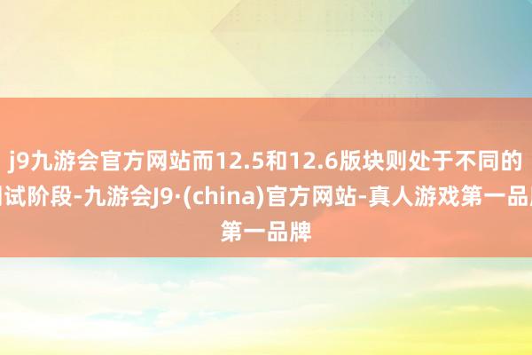 j9九游会官方网站而12.5和12.6版块则处于不同的测试阶段-九游会J9·(china)官方网站-真人游戏第一品牌