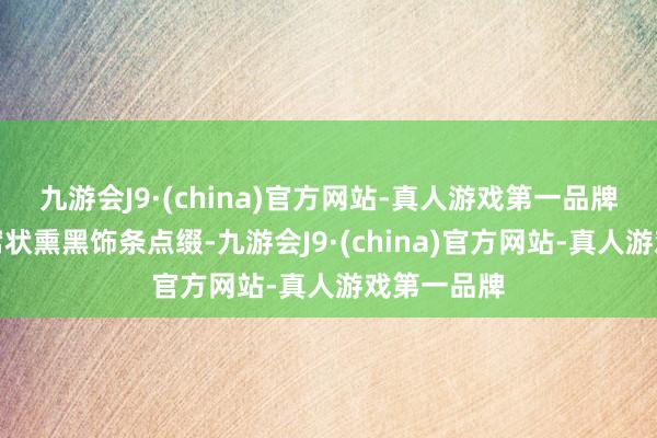 九游会J9·(china)官方网站-真人游戏第一品牌还通过蜂窝状熏黑饰条点缀-九游会J9·(china)官方网站-真人游戏第一品牌