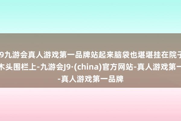 j9九游会真人游戏第一品牌站起来脑袋也堪堪挂在院子的粗木头围栏上-九游会J9·(china)官方网站-真人游戏第一品牌