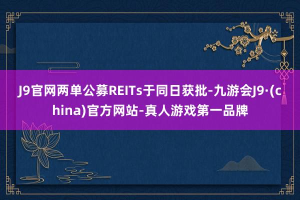 J9官网两单公募REITs于同日获批-九游会J9·(china)官方网站-真人游戏第一品牌