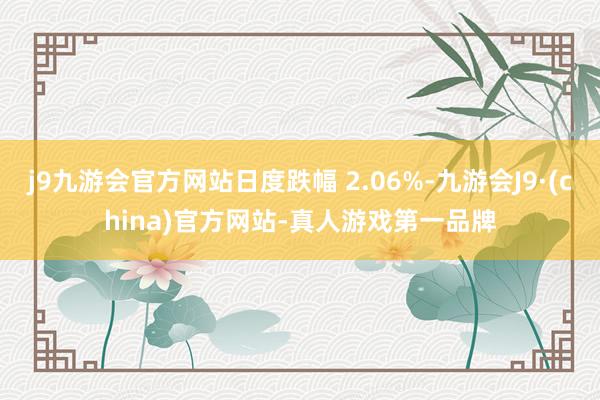 j9九游会官方网站日度跌幅 2.06%-九游会J9·(china)官方网站-真人游戏第一品牌