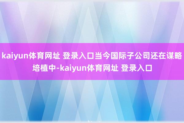 kaiyun体育网址 登录入口当今国际子公司还在谋略培植中-kaiyun体育网址 登录入口