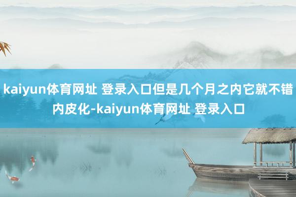 kaiyun体育网址 登录入口但是几个月之内它就不错内皮化-kaiyun体育网址 登录入口